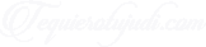 Tequierotujudi.com